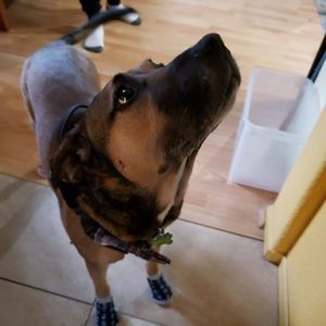 Meet your Posher, Derek